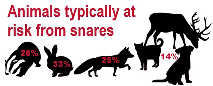 Non-target species at risk from snares.